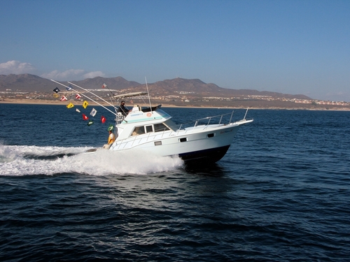 Cabo San Lucas deep sea fishing Reviews
