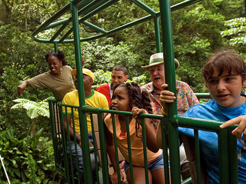 St. Lucia (Castries) nature trail Cruise Excursion Reviews