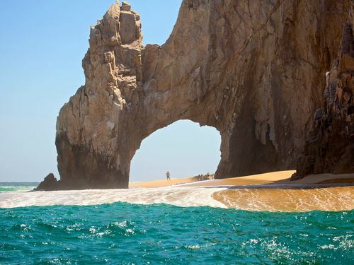 Cabo San Lucas sea lions Booking
