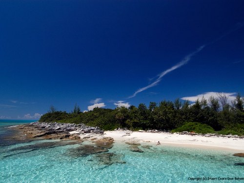 Nassau  Bahamas colorful coral formations Trip