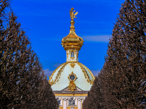 St. Petersburg Catherine Palace Tour Reviews