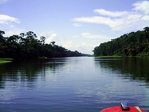 Puerto Limon tortuguero river cruise Booking