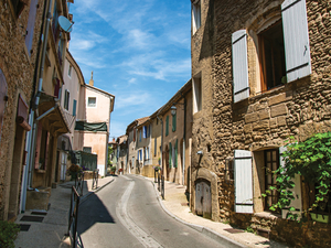 Villefranche Countryside and Wine Tasting Excursion
