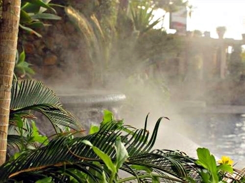 Quetzal Guatemala hot springs Shore Excursion Cost