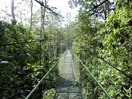 Puerto Caldera rain forest Excursion Cost