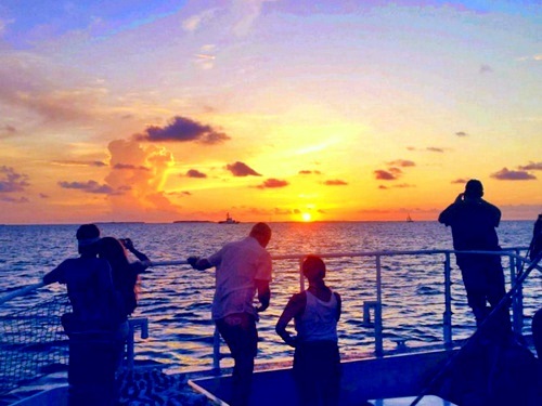 Key West  Florida / USA sunset sailing Tour Reviews