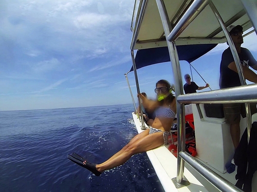 Mazatlan  Mexico wild dolphins Trip Prices
