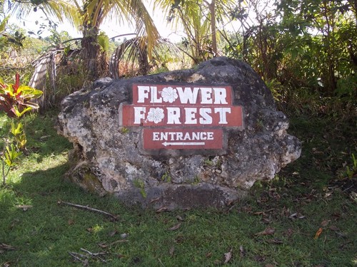 Barbados  West Indies (Bridgetown) Flower Forest Trip