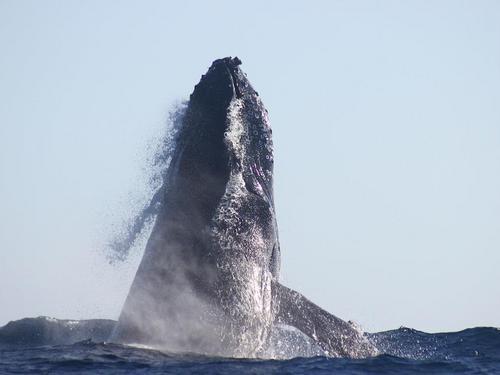 Cabo San Lucas  Mexico the famous Arch Cruise Excursion