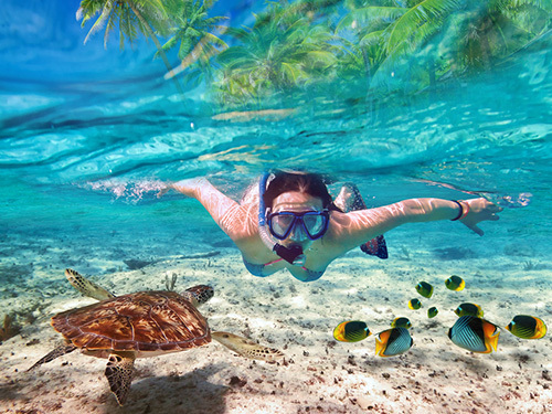 Roatan  Honduras french cay Excursion Reservations