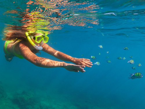 St. Lucia (Castries) Anse Livrogne Excursion Reviews
