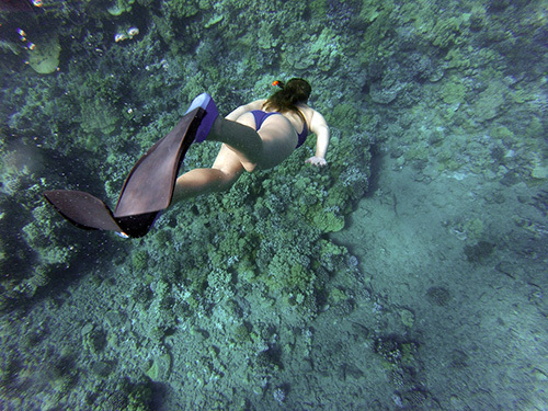 Roatan  Honduras shipwreck Tour Prices