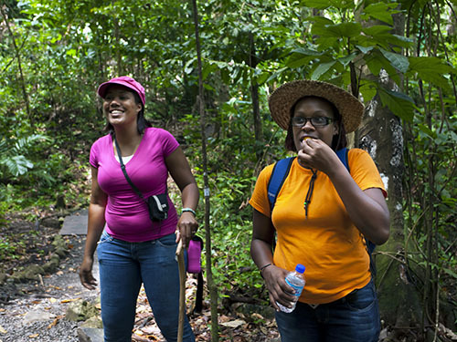 St. Lucia (Castries) hike Shore Excursion Tickets