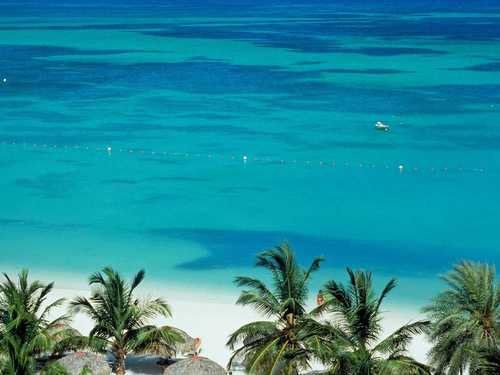 Aruba  Kingdom of the Netherlands (Oranjestad) double double jet ski and parasail Cruise Excursion