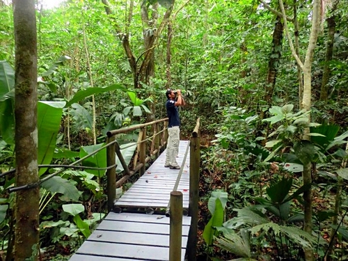 Puerto Limon  Costa Rica Rain Forest Shore Excursion