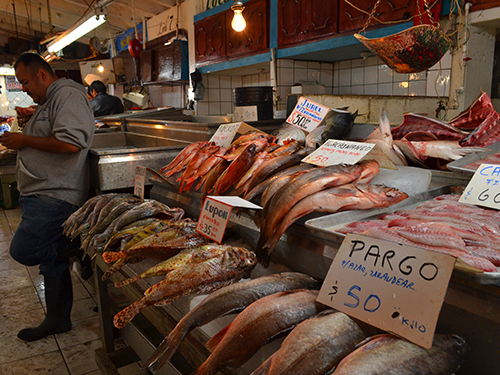 Ensenada  Mexico fish market Excursion Booking