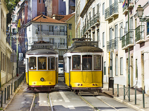 Lisbon Figueira  Excursion Cost