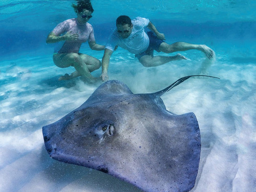 Grand Cayman snorkeling Trip Prices