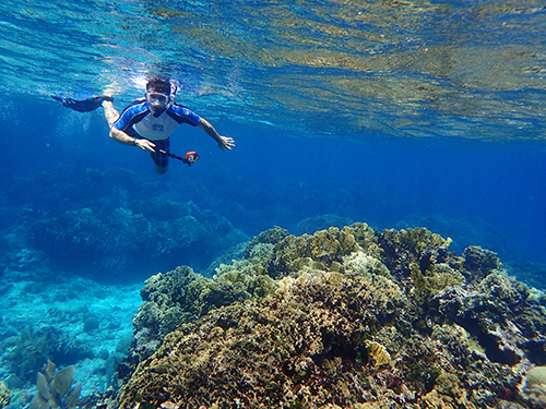 Roatan Southern Reef Snorkel Cruise Excursion Prices