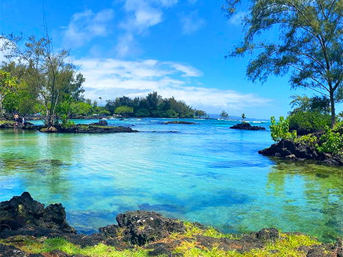 Hilo  Hawaii beach snorkel Excursion Tickets