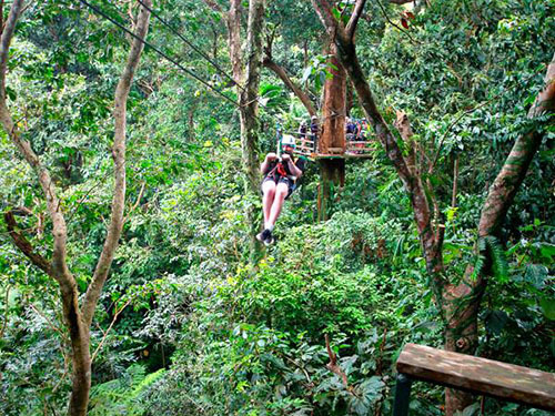 St. Lucia (Castries) rainforest reserve Tour Booking